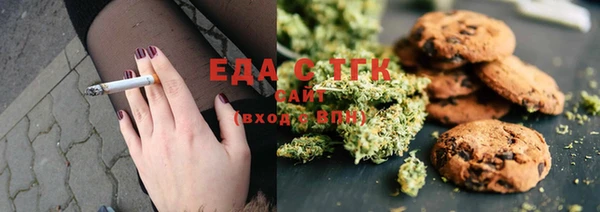 гашик Осинники
