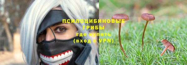 метадон Осташков