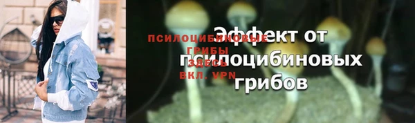 метадон Осташков