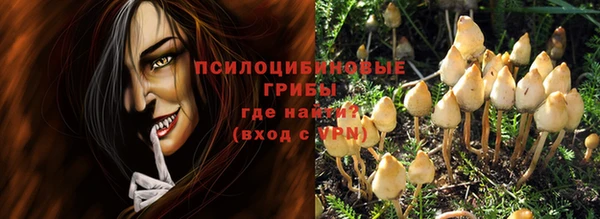 метадон Осташков