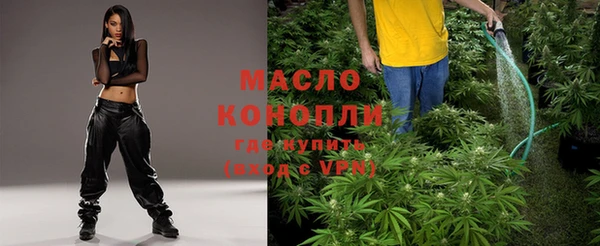 гашик Осинники