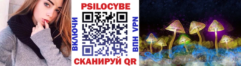 купить   Каменск-Шахтинский  Псилоцибиновые грибы Psilocybe 